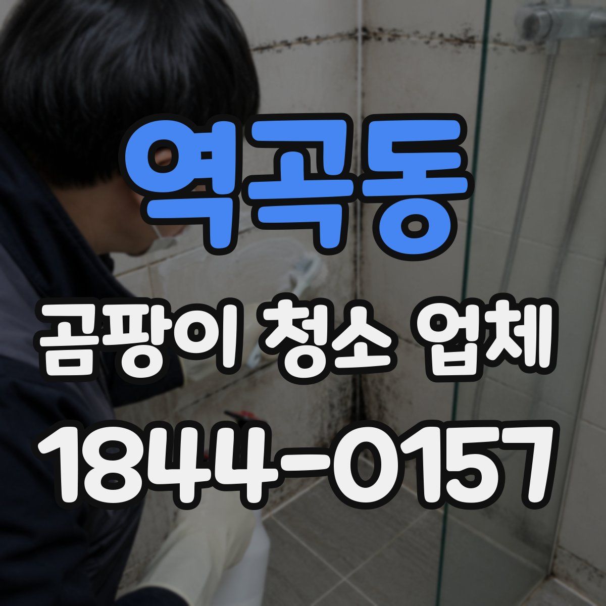 역곡동 곰팡이 청소 업체