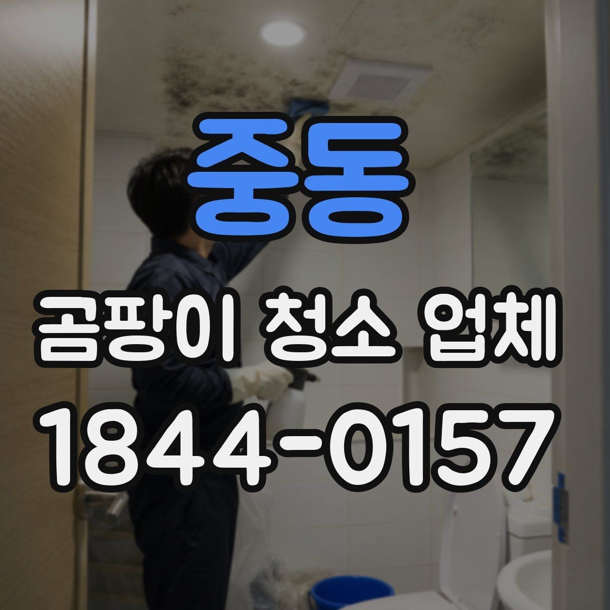 중동 곰팡이 청소 업체 선택할 때 계약서 확인 포인트