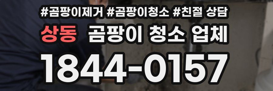 상동 곰팡이 청소 업체