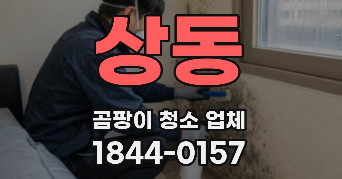 상동 곰팡이 청소 업체