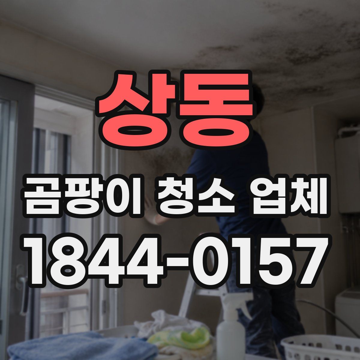 상동 곰팡이 청소 업체