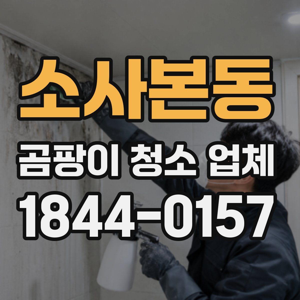소사본동 곰팡이 청소 업체
