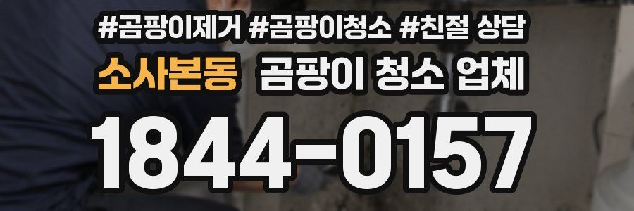 소사본동 곰팡이 청소 업체