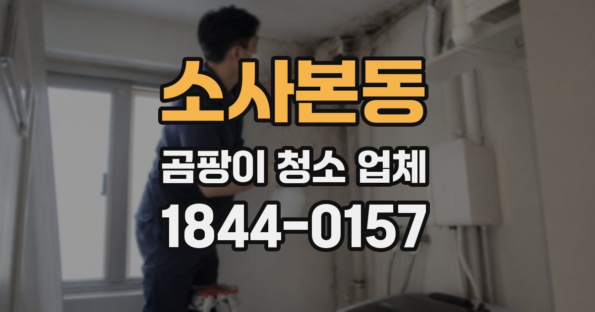 소사본동 곰팡이 청소 업체