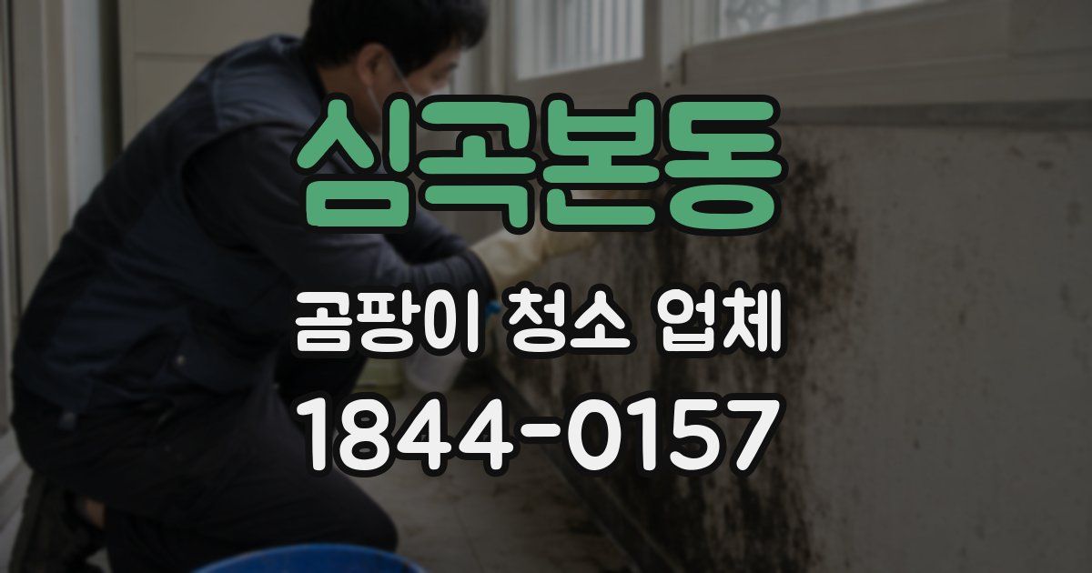 심곡본동 곰팡이 청소 업체
