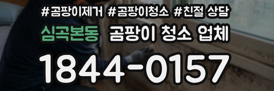 심곡본동 곰팡이 청소 업체