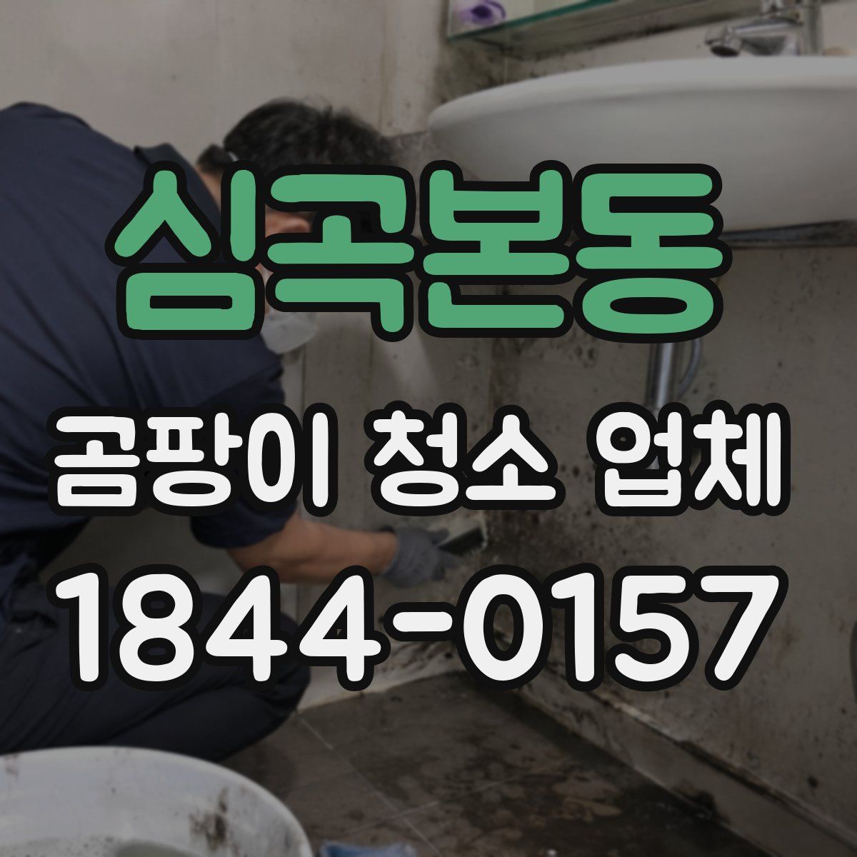심곡본동 곰팡이 청소 업체