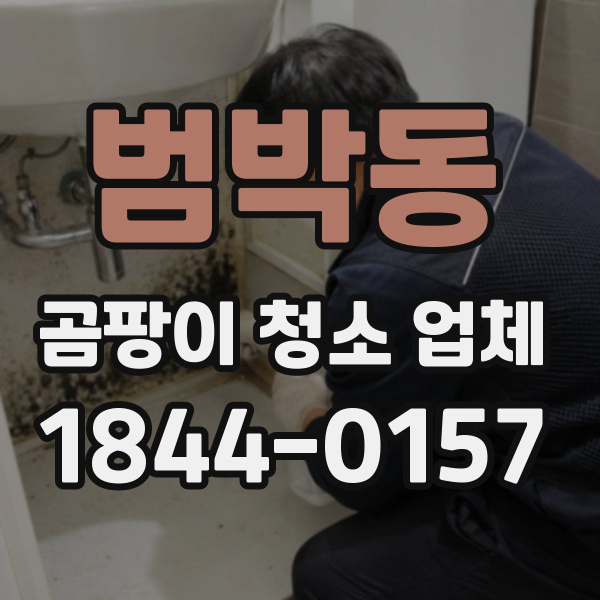 범박동 곰팡이 청소 업체