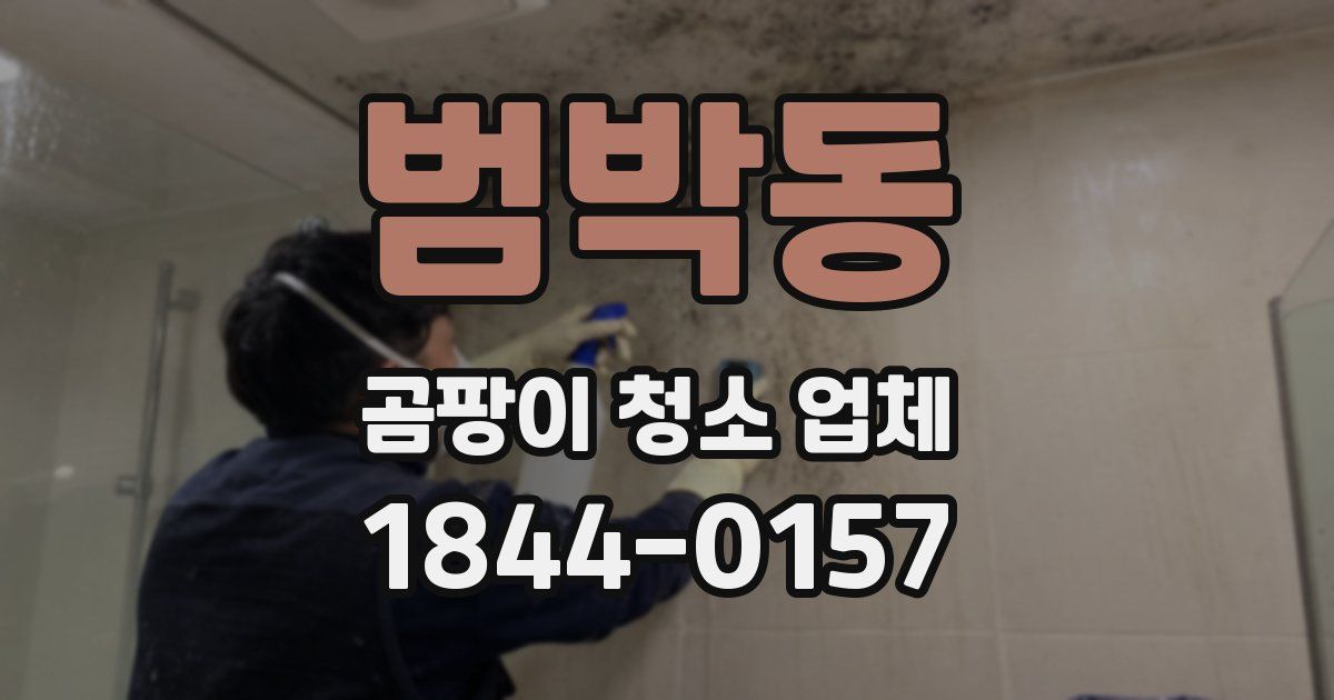범박동 곰팡이 청소 업체