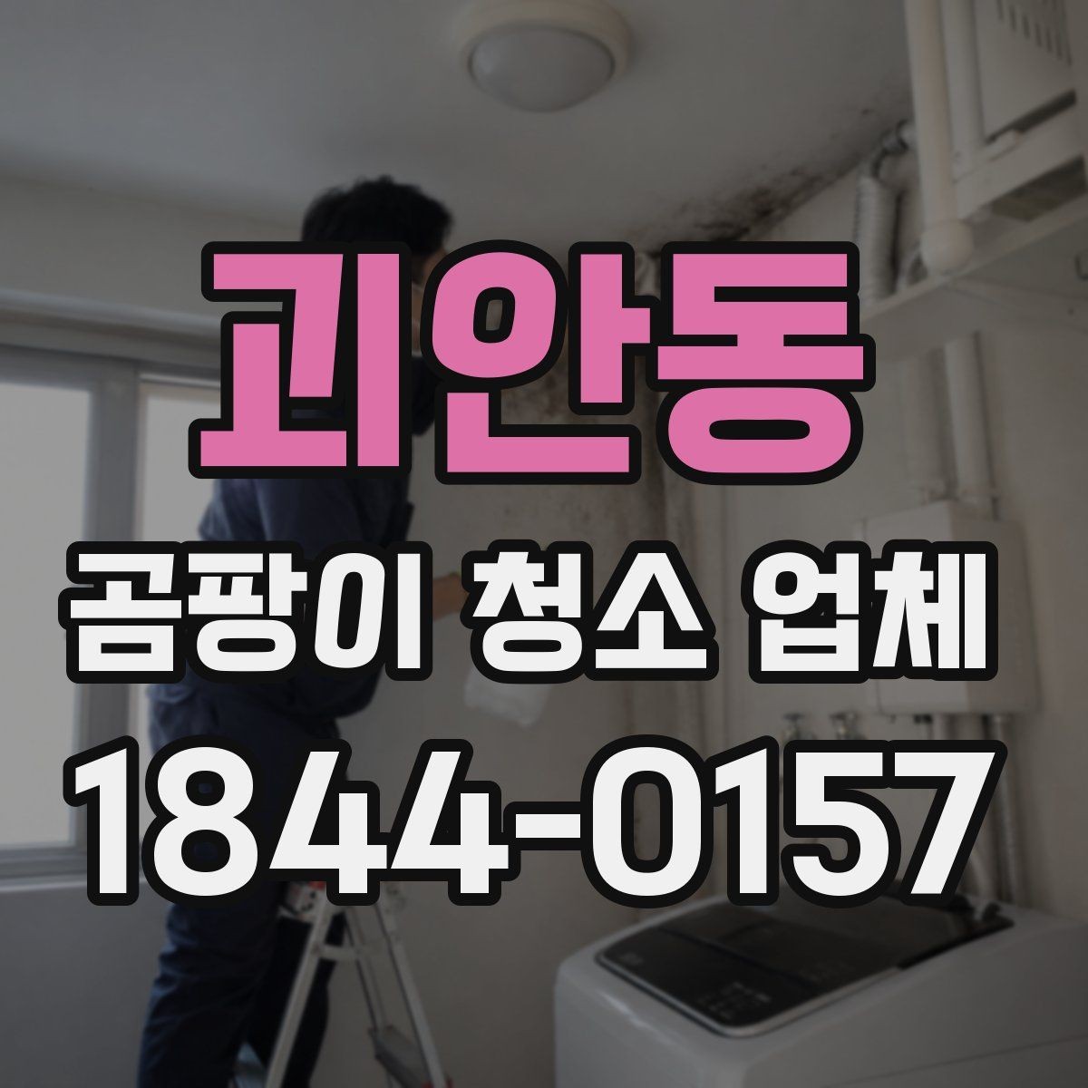 괴안동 곰팡이 청소 업체 선택에 참고할 견적 항목