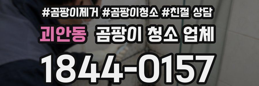 괴안동 곰팡이 청소 업체