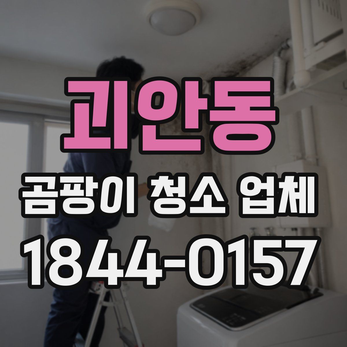 괴안동 곰팡이 청소 업체