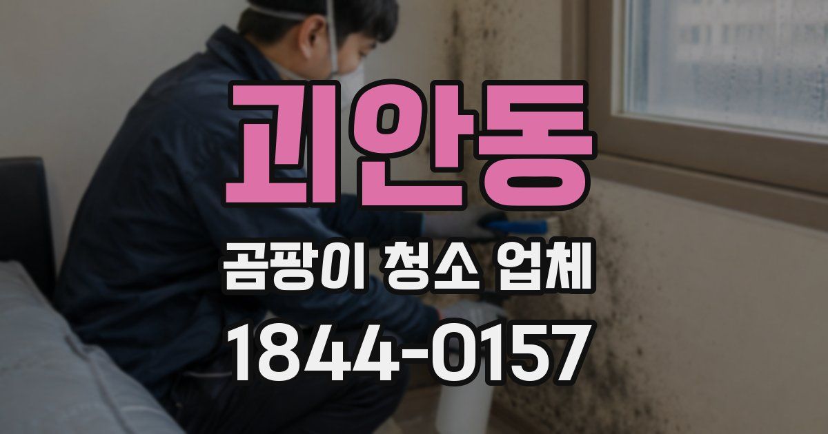 괴안동 곰팡이 청소 업체