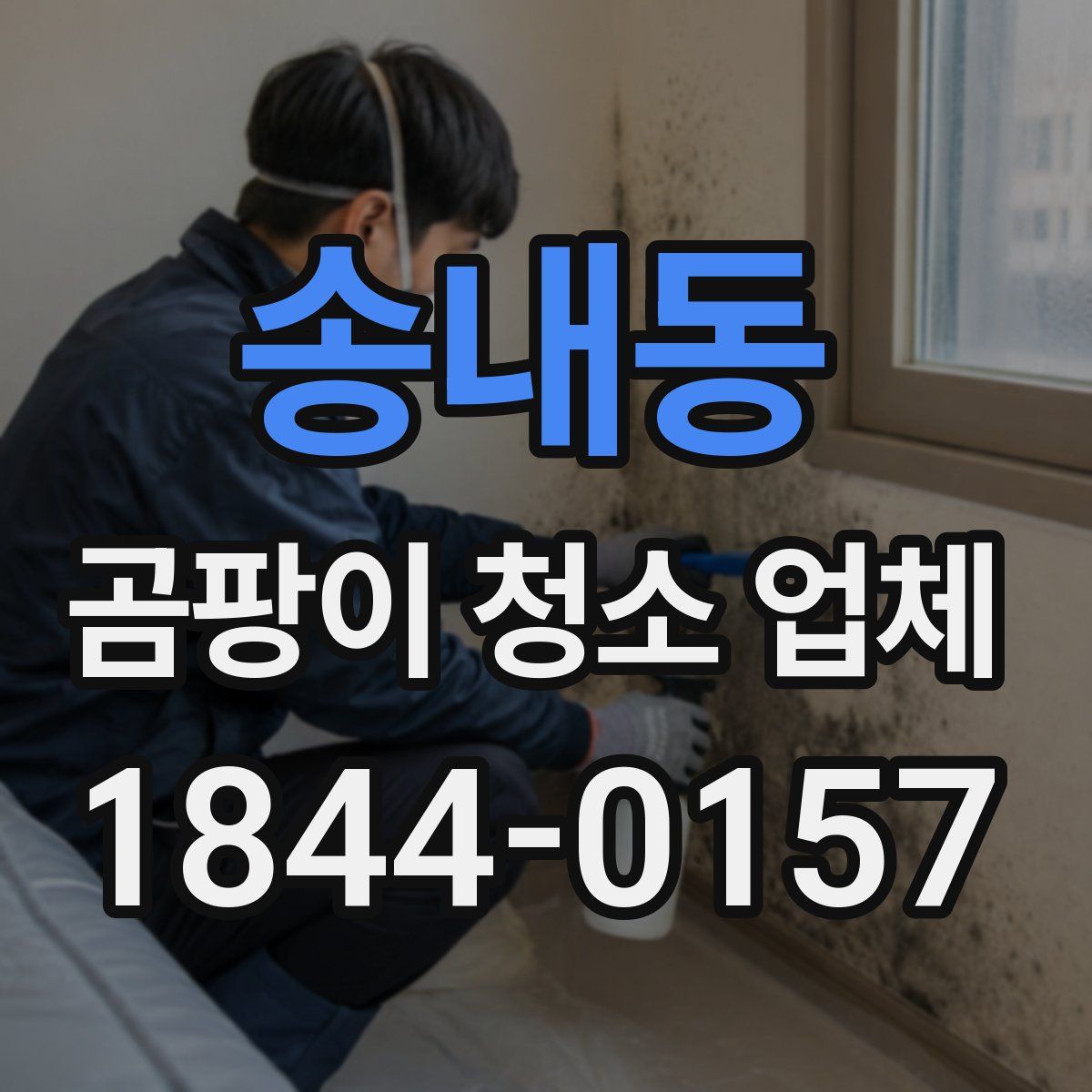 송내동 곰팡이 청소 업체