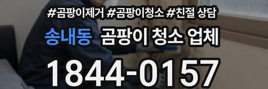송내동 곰팡이 청소 업체