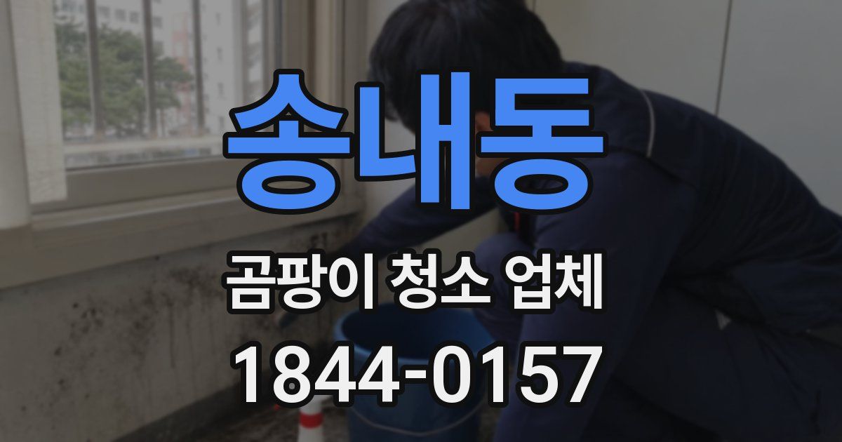 송내동 곰팡이 청소 업체