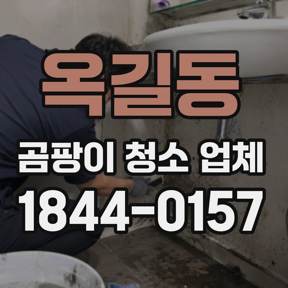 옥길동 곰팡이 청소 업체