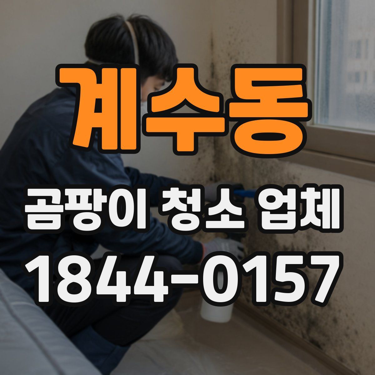 계수동 곰팡이 청소 업체
