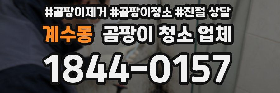계수동 곰팡이 청소 업체