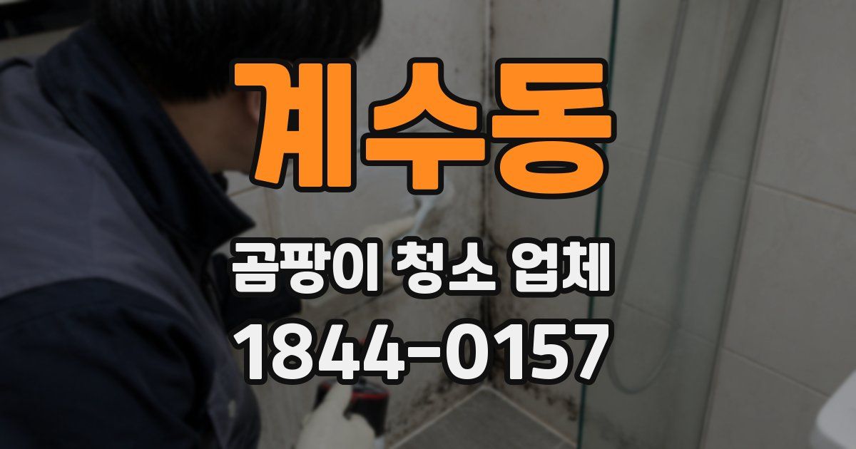 계수동 곰팡이 청소 업체