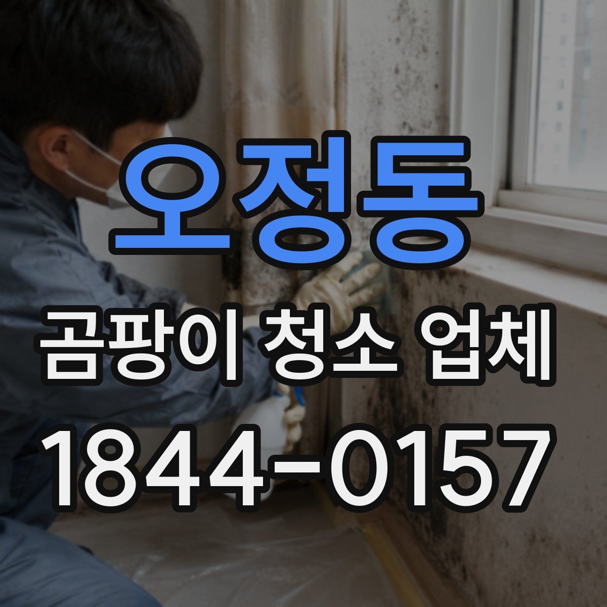 오정동 곰팡이 청소 업체