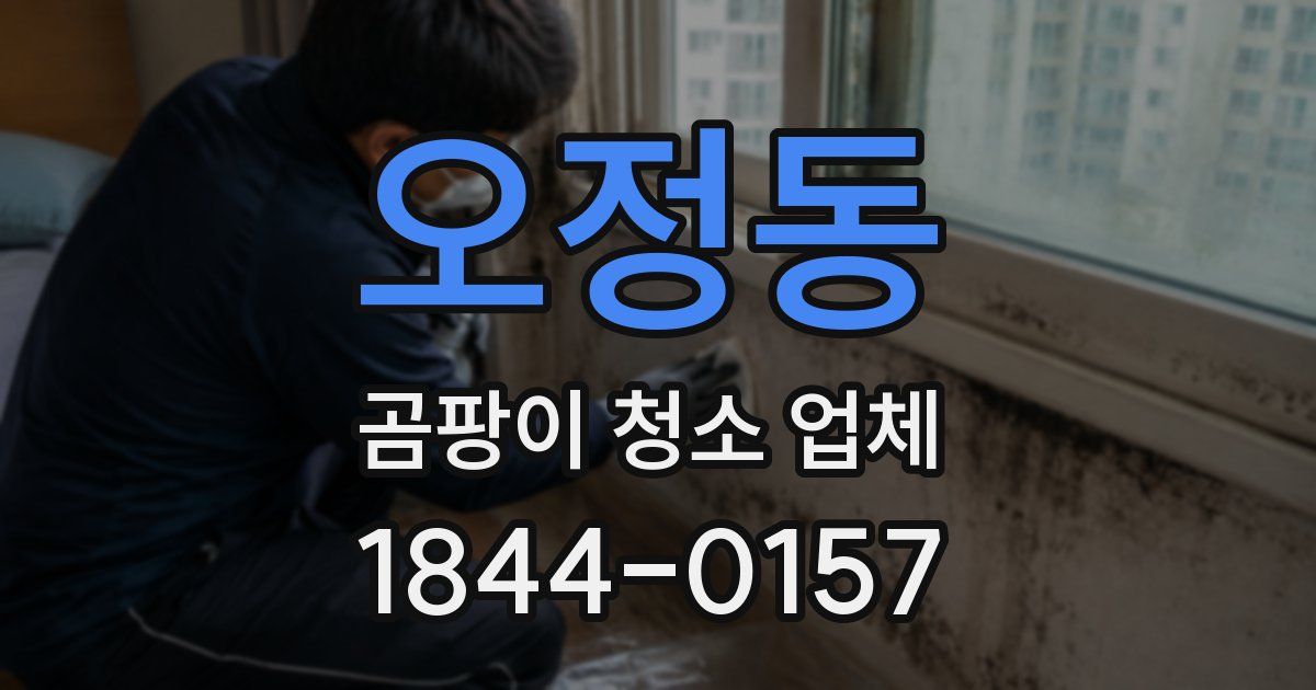 오정동 곰팡이 청소 업체