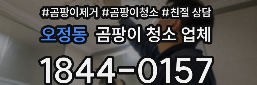 오정동 곰팡이 청소 업체