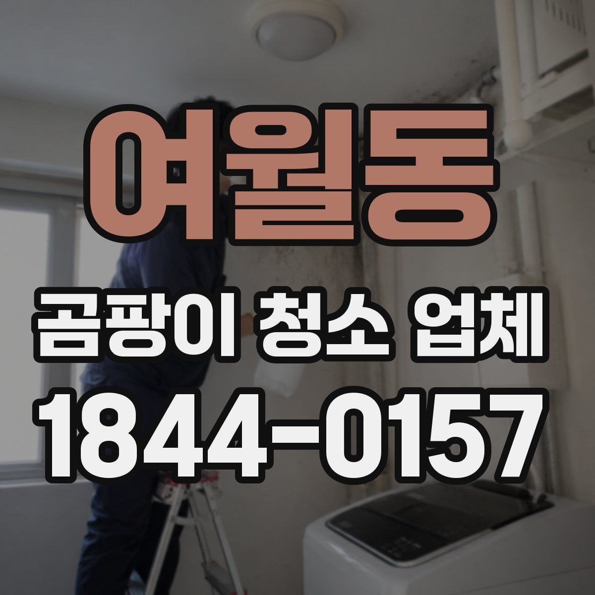 여월동 곰팡이 청소 업체