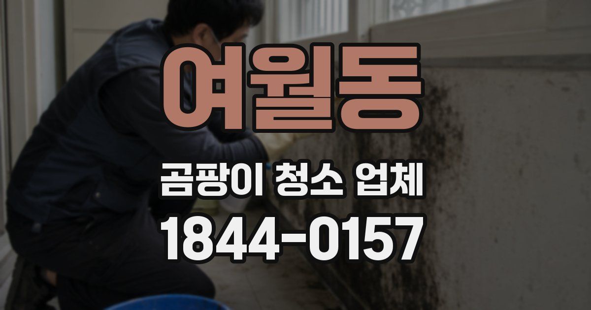 여월동 곰팡이 청소 업체