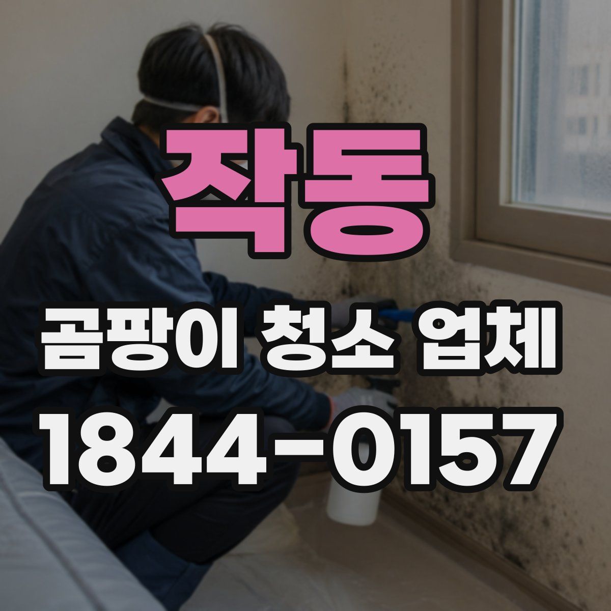 작동 곰팡이 청소 업체