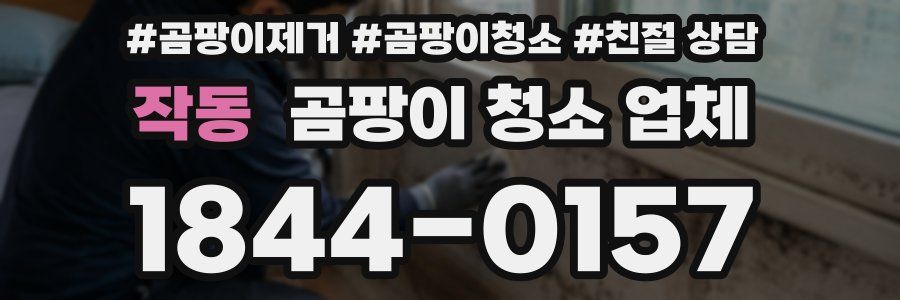 작동 곰팡이 청소 업체