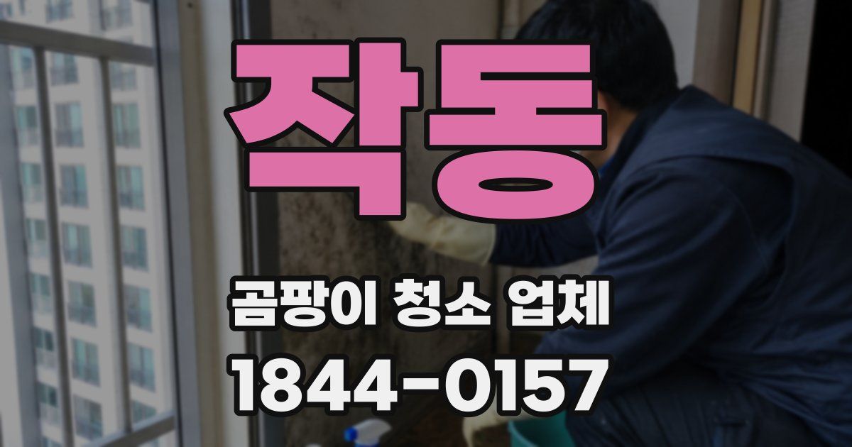 작동 곰팡이 청소 업체