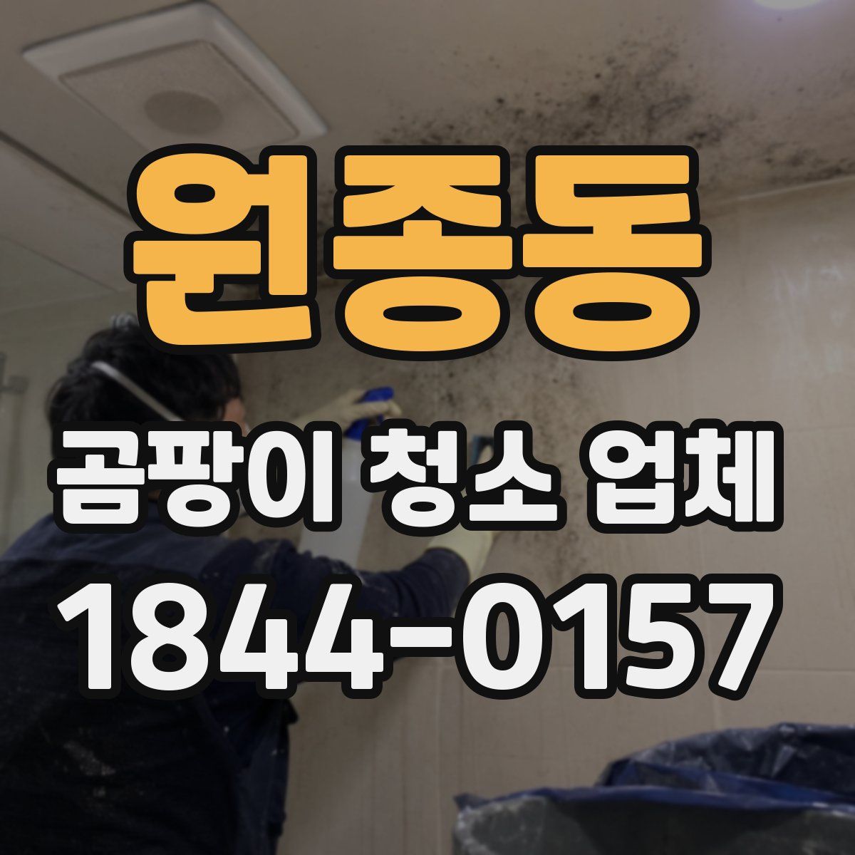 원종동 곰팡이 청소 업체