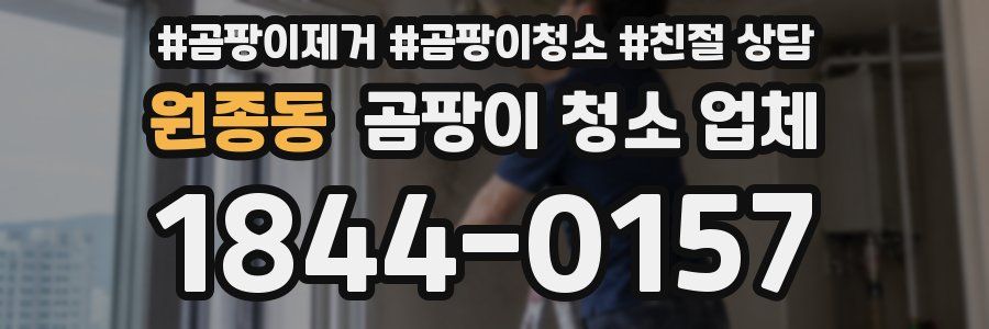 원종동 곰팡이 청소 업체