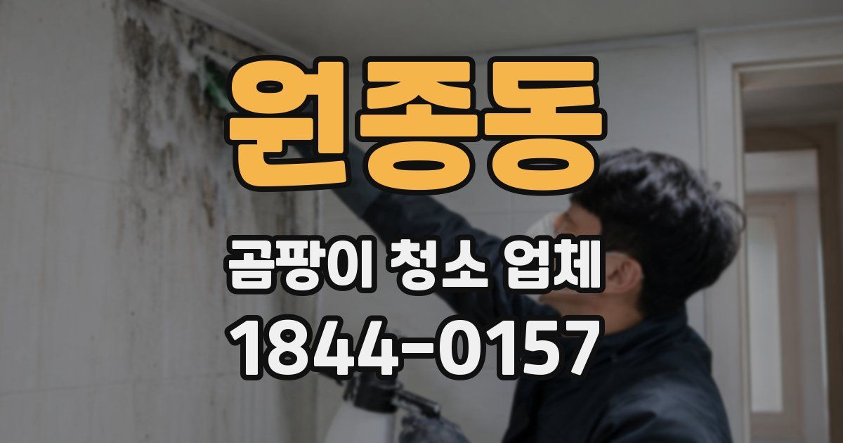 원종동 곰팡이 청소 업체