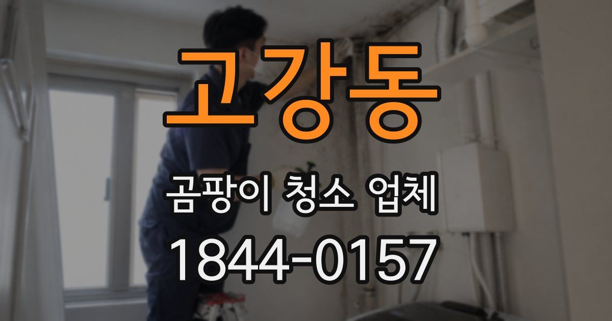 고강동 곰팡이 청소 업체