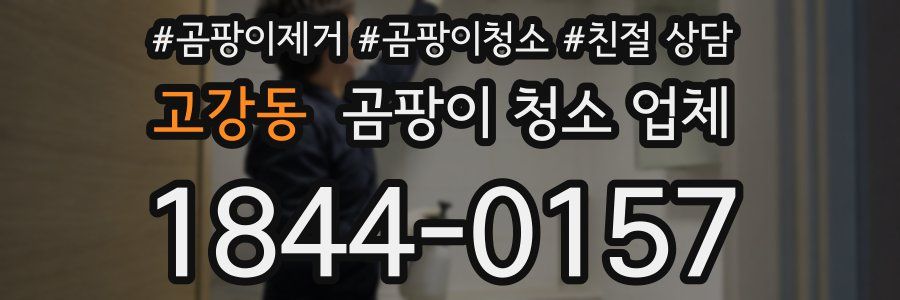 고강동 곰팡이 청소 업체