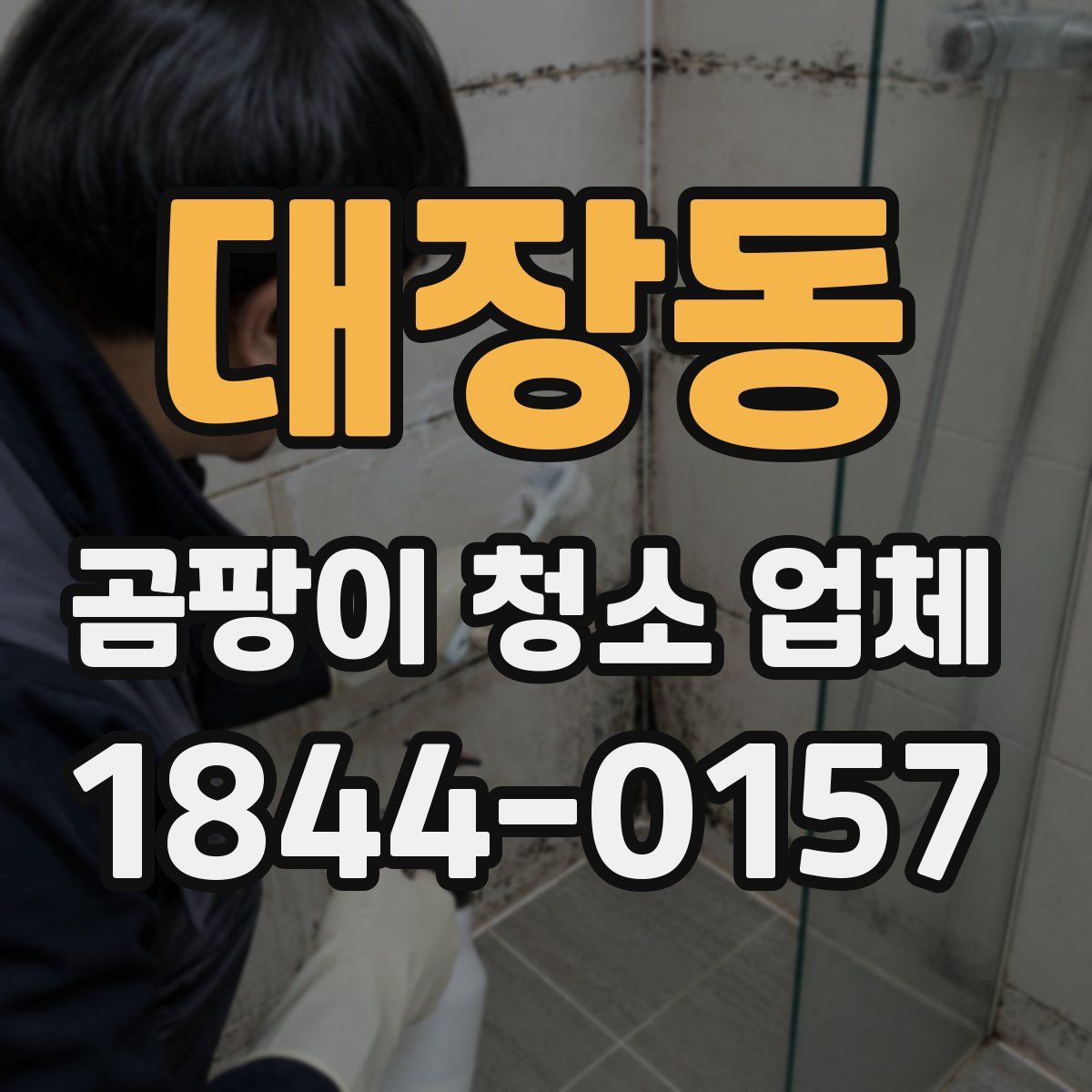 대장동 곰팡이 청소 업체