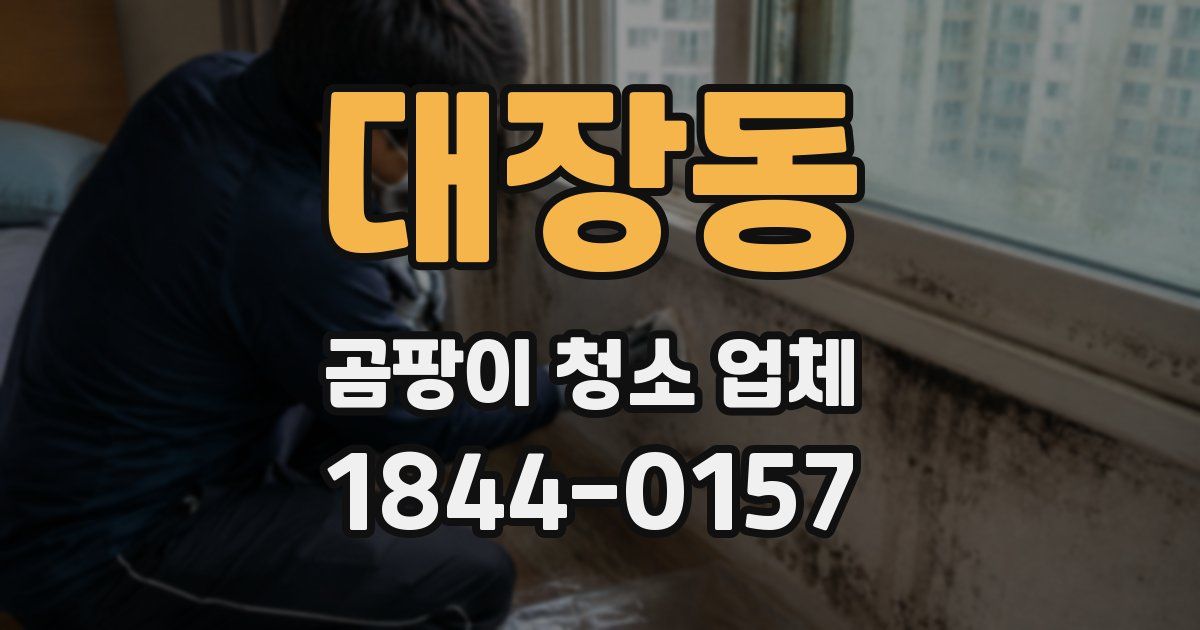 대장동 곰팡이 청소 업체