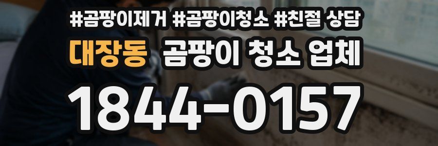 대장동 곰팡이 청소 업체