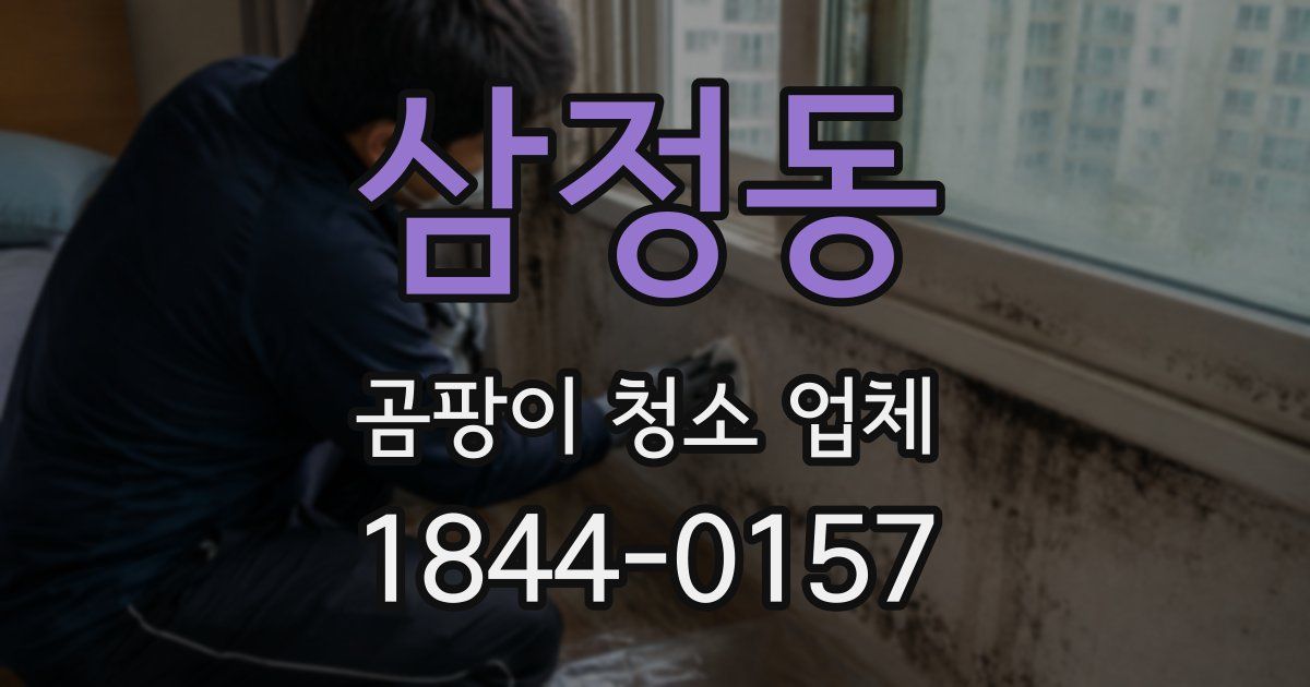 삼정동 곰팡이 청소 업체