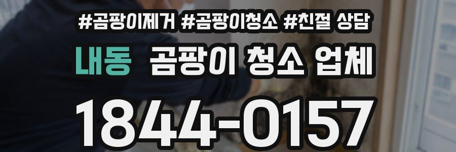 내동 곰팡이 청소 업체