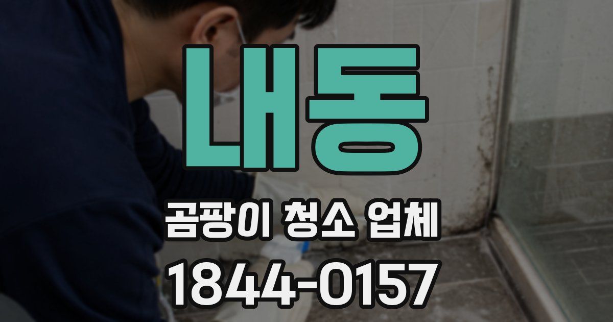 내동 곰팡이 청소 업체