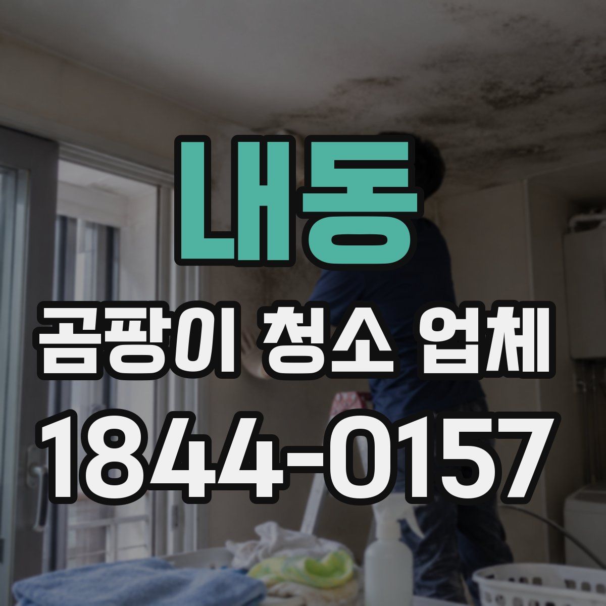 내동 곰팡이 청소 업체