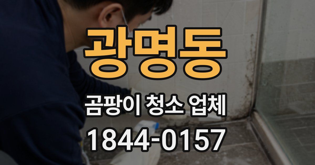 광명동 곰팡이 청소 업체