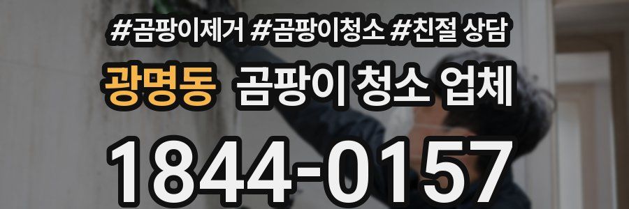 광명동 곰팡이 청소 업체
