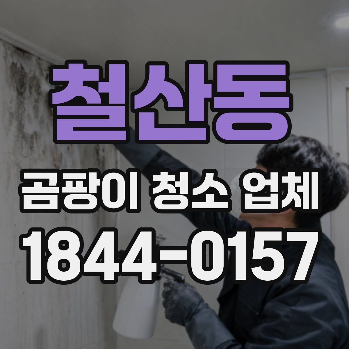 철산동 곰팡이 청소 업체