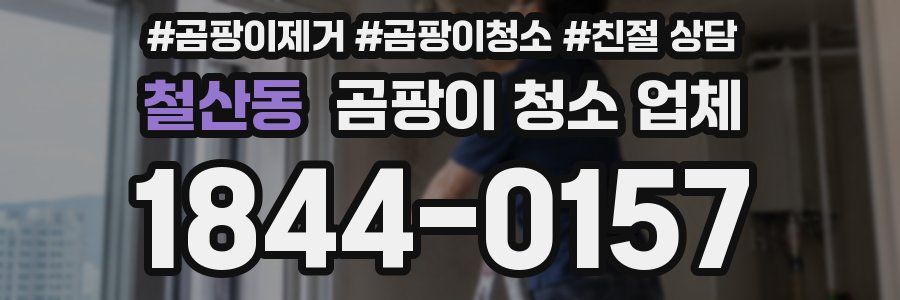철산동 곰팡이 청소 업체
