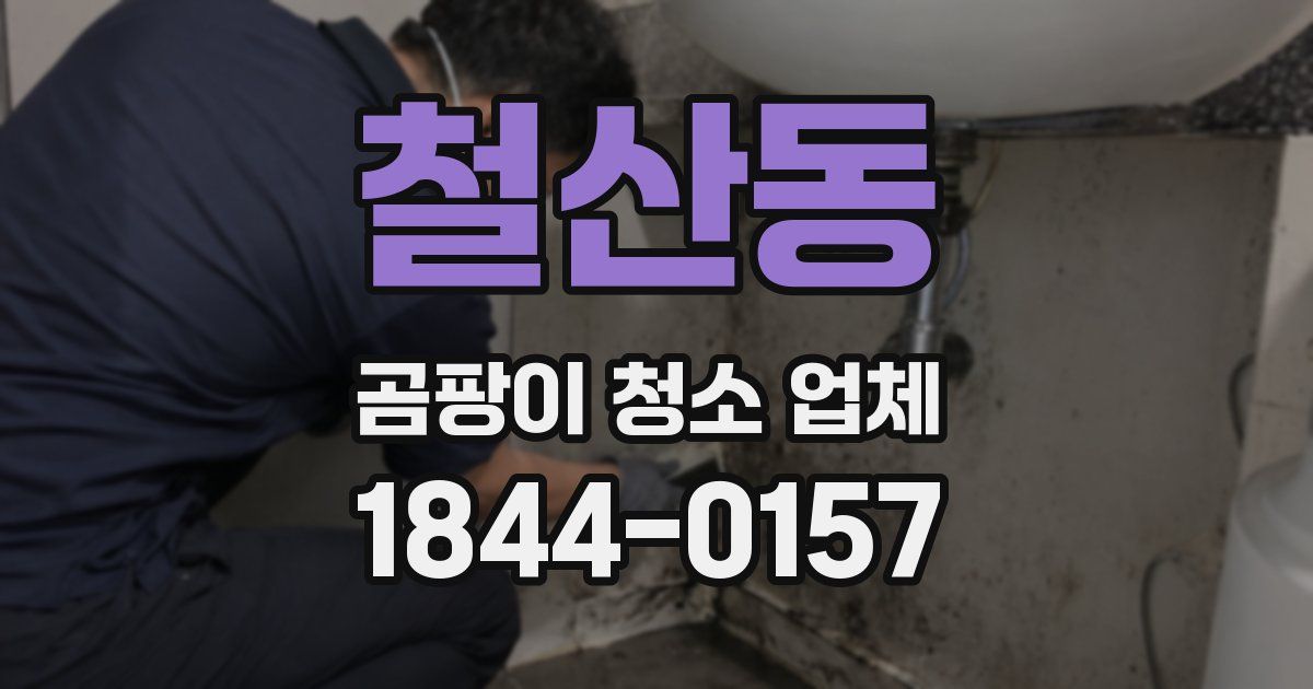 철산동 곰팡이 청소 업체