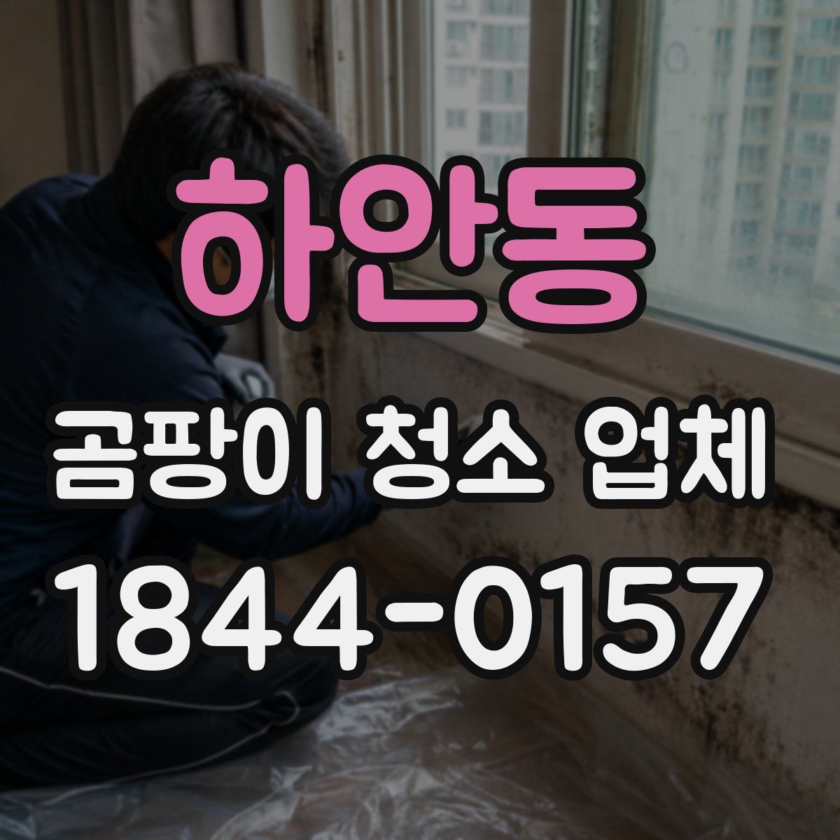 하안동 곰팡이 청소 업체